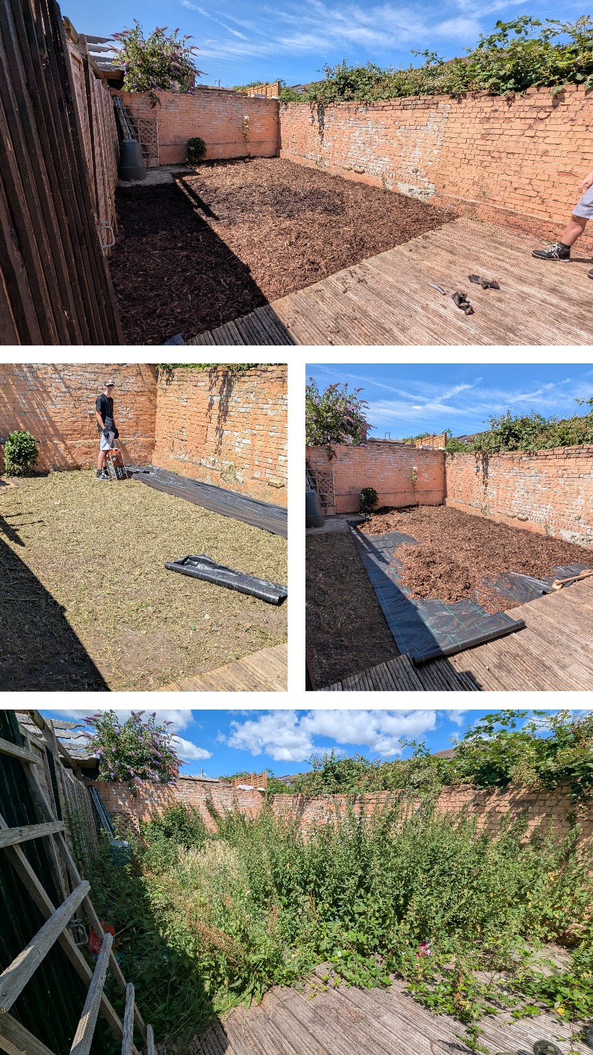Vegetation clearance work